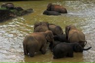 Даша Дашина фотография #8 (источник - https://vk.com/id2891457)