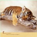 Надежда Белобородова фотография #34 (источник - https://vk.com/id8101189)