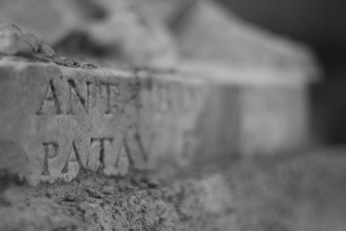 Артём Дмитрич фотография #26