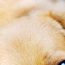 Viki @@@@@@@@@ фотография #18 (источник - https://vk.com/id141663195)