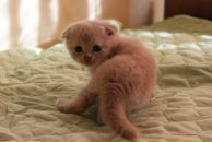 Фотография Сергеевны Екатерины