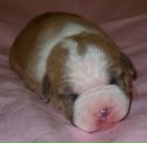 Фотография Потаповой Ларисы