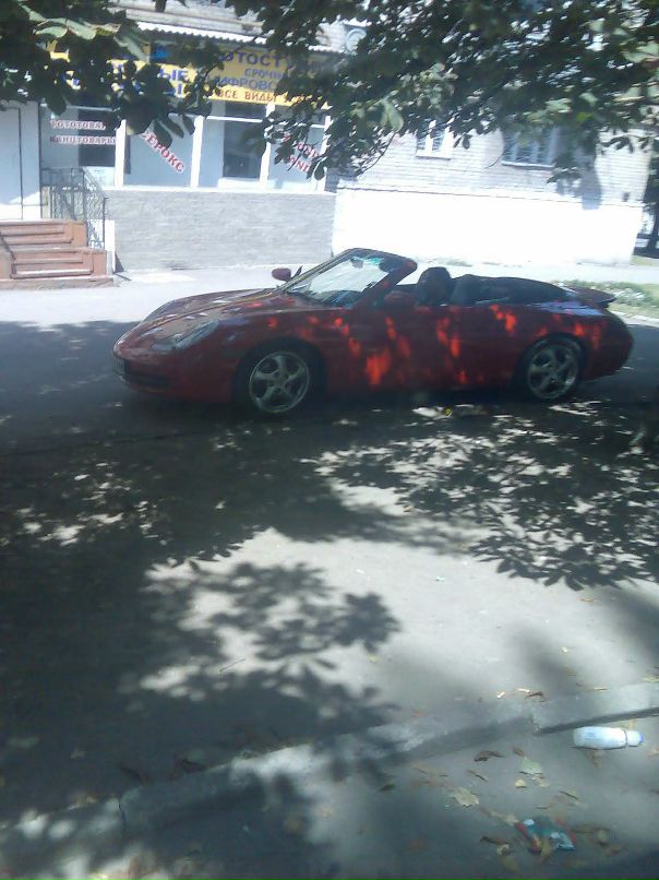 Николай Чуприна фотография #41