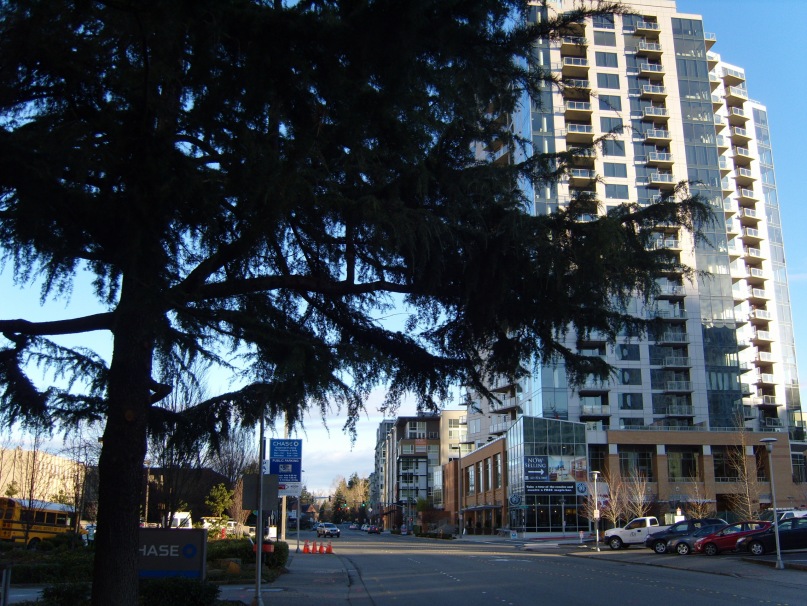 Роман Щемелёв фотография #38