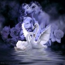 Фотография Токаревой Натальи