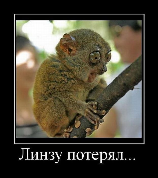 Дарья Волчек фотография #6