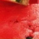 Екатерина Бояринова фотография #12 (источник - https://vk.com/id2134049)