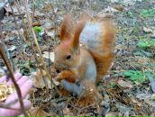 Олексій Кацан фотография #5 (источник - https://vk.com/id7647848)