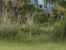 Руслан Сікірський фотография #19 (источник - https://vk.com/id142910138)