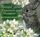 Юля Марків фотография #50 (источник - https://vk.com/id132234243)
