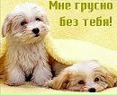 Віка Лось фотография #7 (источник - https://vk.com/id139870357)