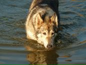 Фотография Onkina Elena