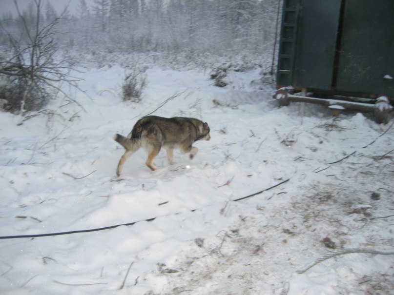 Закир Янтурин фотография #49