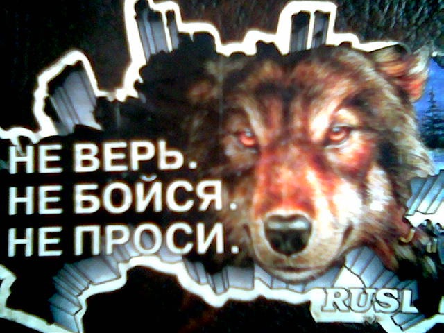Салават Аскаров фотография #11
