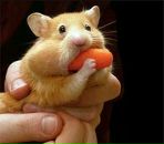 Фотография Сазоновой Натальи