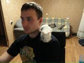 Фотография  