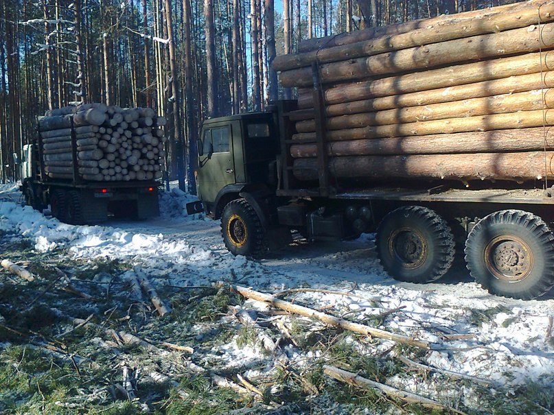 Дмитрий Тульков фотография #12