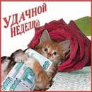 Іванна Гавич фотография #34 (источник - https://vk.com/id166948527)