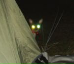 Фотография Несмеянова Константина