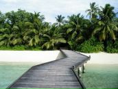 Alex Perec фотография #13 (источник - https://vk.com/id539403)