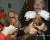 Фотография Медведевой Алёны