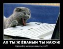 Фотография Зубко Ильи