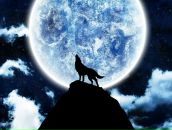 Валерія Новак фотография #22 (источник - https://vk.com/id80313640)