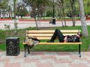 Фотография Москвиной Натальи