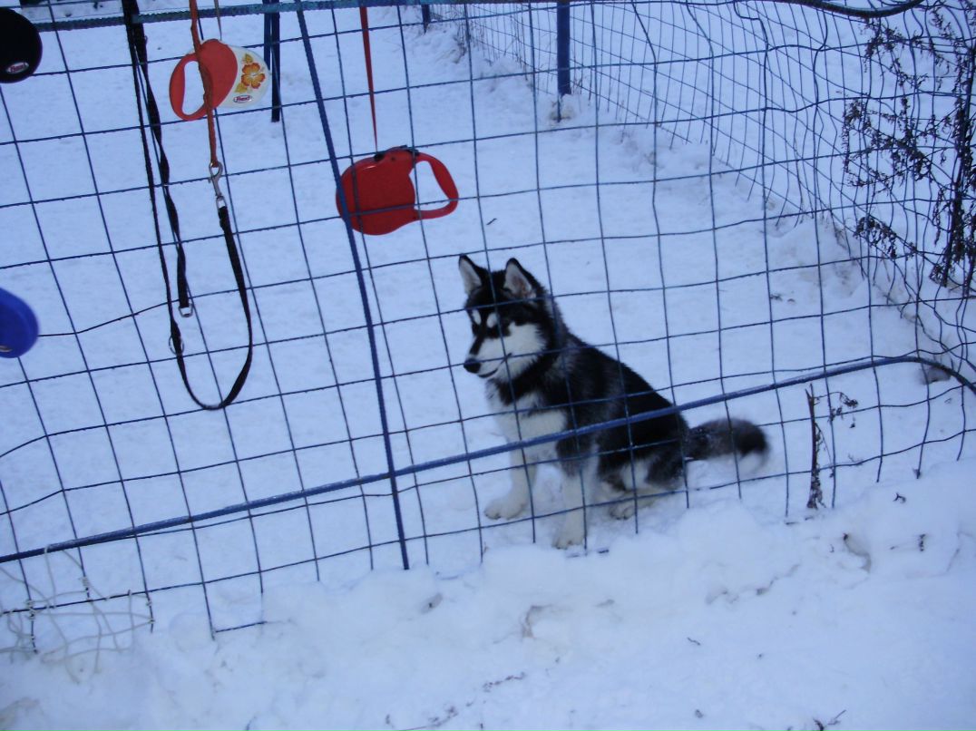 Дмитрий Тепляков фотография #33