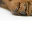 Олеся Матвійчук фотография #20 (источник - https://vk.com/id50923906)