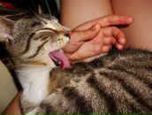 Фотография Порошиной Тани