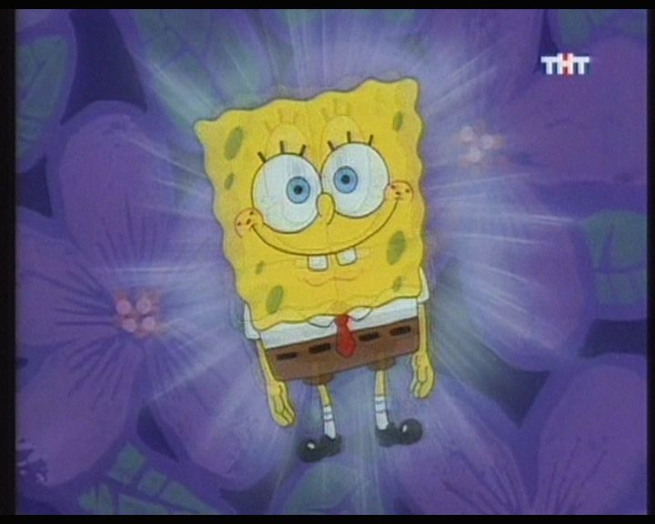 Sboker Max фотография #10