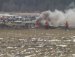 фотография #8