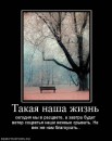 Андрій Покидюк фотография #44 (источник - https://vk.com/id41637347)