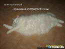 Славік Сташків фотография #5 (источник - https://vk.com/id49816414)
