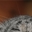 Виктор Арфеев фотография #48 (источник - https://vk.com/id38807040)