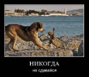 Ілонка Страхонюк фотография #17 (источник - https://vk.com/id66034475)