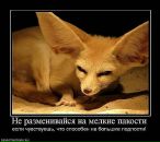 Фотография Паниной Анастасии