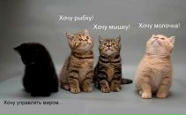 Фотография Колмыковой Юлии