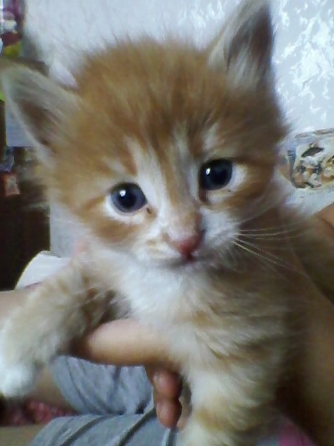 Вика Гагарина фотография #20