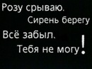 Діаночка Мокар фотография #20 (источник - https://vk.com/id146291647)