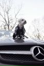 Андрій Пастушок фотография #34 (источник - https://vk.com/id27803987)