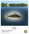 Віктор Степаненко фотография #39 (источник - https://vk.com/id149498940)