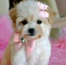 Вероніка Стасюк фотография #21 (источник - https://vk.com/id62855198)