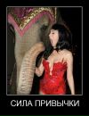Богдан Посікіра фотография #9 (источник - https://vk.com/id58787466)
