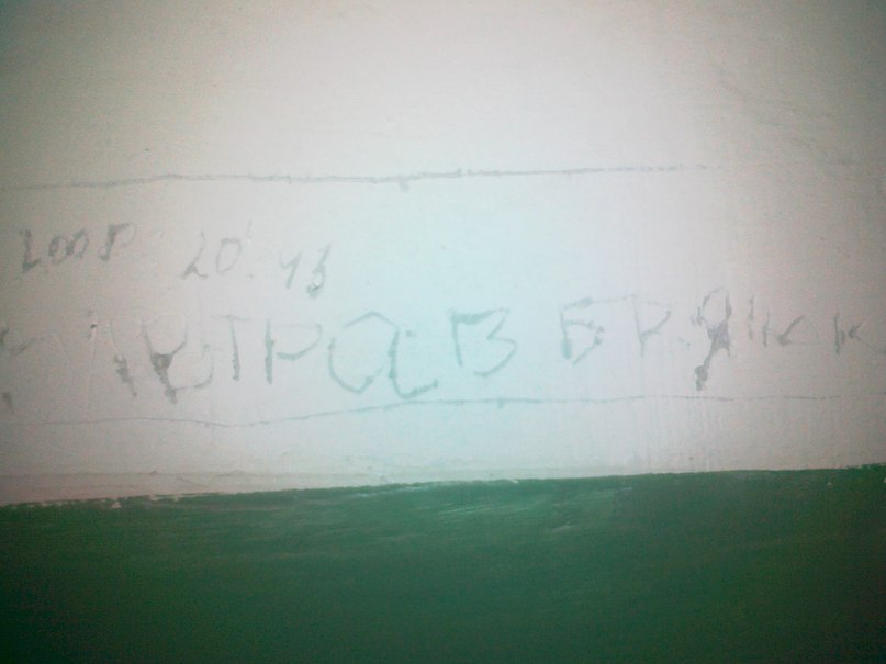 Дмитрий Рогачёв фотография #45