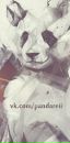 Фотография Reii Panda