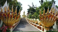 Анна Матвеенко фотография #29 (источник - https://vk.com/id982526)