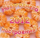 Софія Вишатицька фотография #9 (источник - https://vk.com/id156343926)