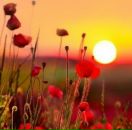 Ірина Вітовщик фотография #36 (источник - https://vk.com/id36403117)